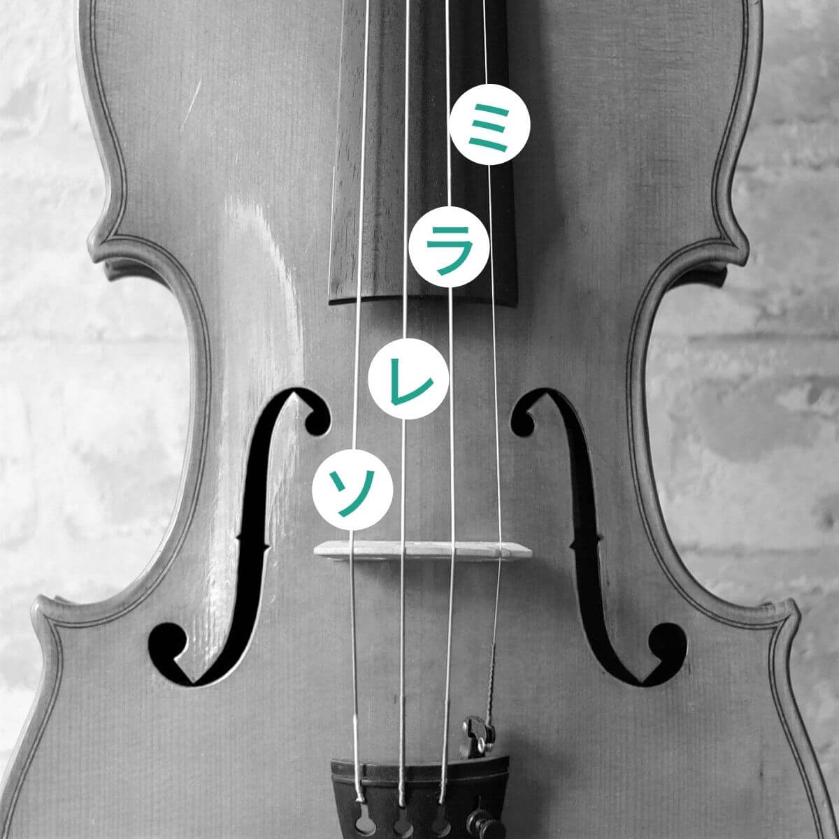 バイオリンの調弦カタカナ表記