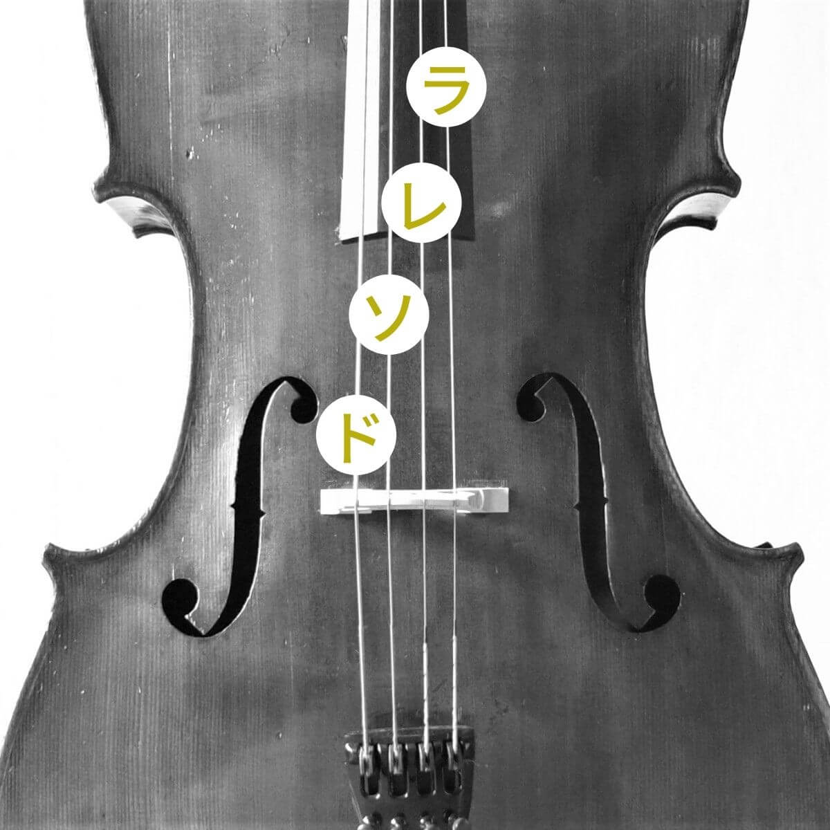 チェロの調弦カタカナ表記